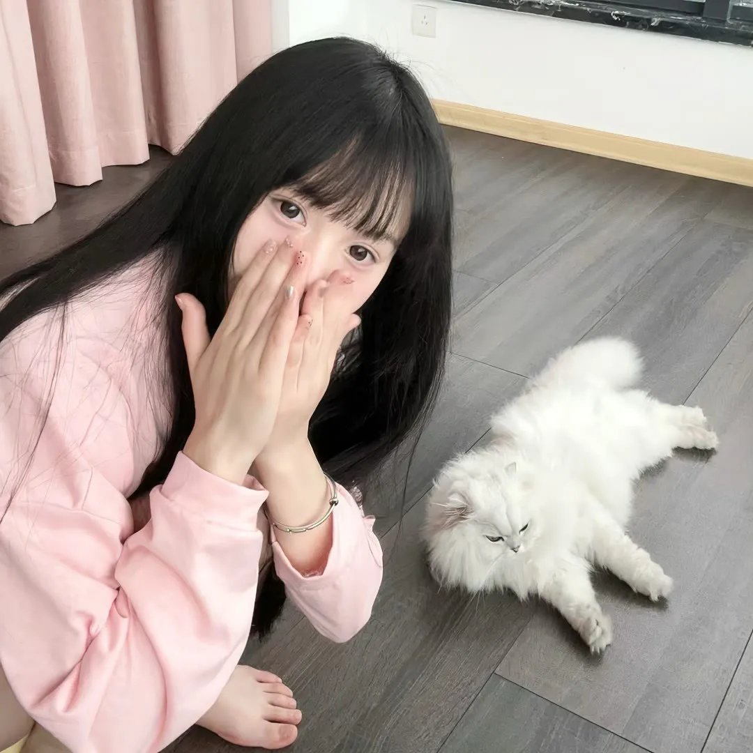 雪里娇花